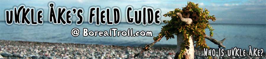 Unkle &Aring;ke's Field Guide at BorealTroll.com